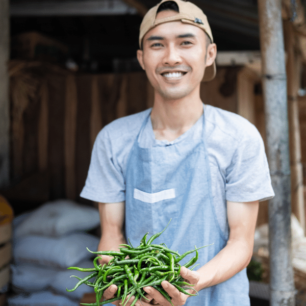 mfsupplier buah jakarta tanggerang bogor bekasi depok