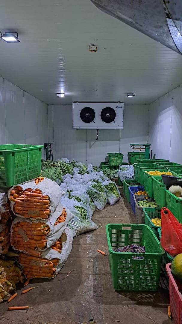 mfsupplier sayur jakarta bogor depok