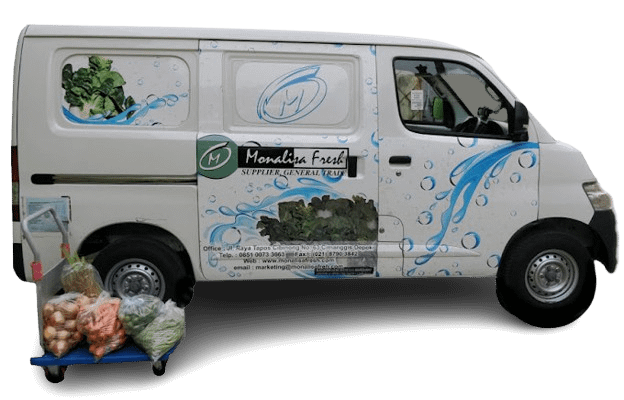 mf supplier sayur buah jabodetabek